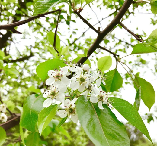 Ϳ�m��ˇ�g(sh��)Ϳ�ϣ����������ߝu�h���������!!