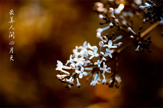 Ϳ�m��ˇ�g(sh��)Ϳ�ϣ����������ߝu�h���������!!