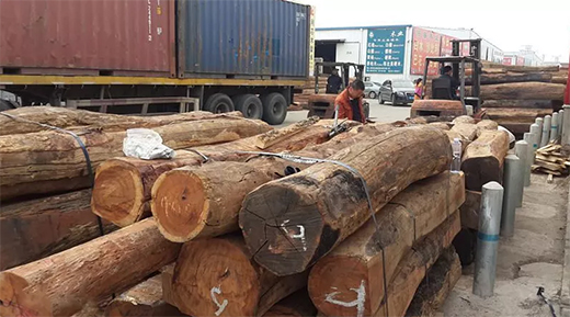 ���黨���ܴ��J(r��n)�ɣ��ɞ�tľ��ġ����F��!