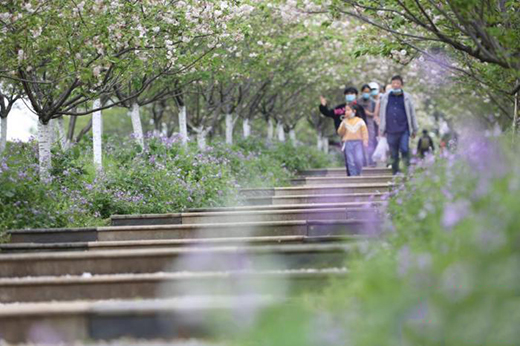 ��һ��ʂ�ȥ���Ά�?��܇���{���A�s�TƱ����څ��