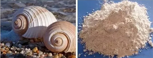 �ǽ�ؐ•ؐ���� | �����҃ȼ��b��Ⱦ��С����!