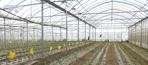 ȫ�����˻@�ӡ��a(ch��n)Ʒ����(y��ng)�������� �Ј��\(y��n)�п��wƽ��(w��n)