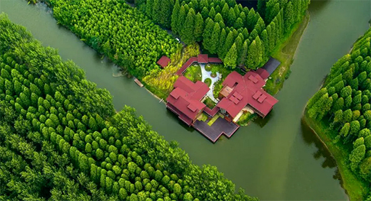 �|���T�I(y��)���c���]�����c������