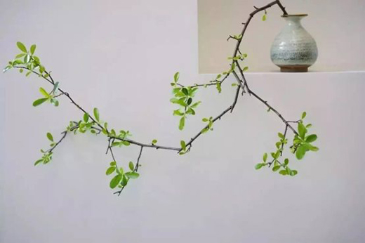 ���ϊW��ī퍡�����ʽ�����_�����{ʲô�ɞ����Юa(ch��n)����