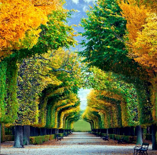 �P�ӹܘI(y��)���ֽ����h(hu��n)���a(ch��n)�I(y��) �c���B(t��i)�����R������δ��