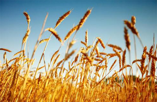 �A��(d��ng)���|24��(ji��)�����������ϲ�g�Ġ�B(t��i)��С�M���A�M!