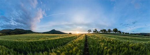 ͬ��՚��ܣ�С��ӯ�M�����ښgϲ