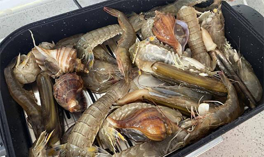 �NˇС�ױ؂�֮�������ϚW�W(w��ng)�t�?zh��n)��Ґ?��i)�ϏN��!