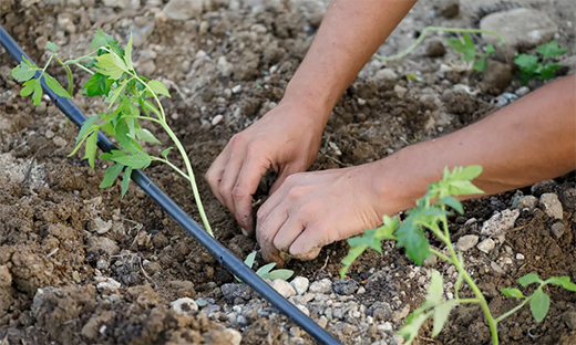 �x�_(d��)�ܘI(y��)��â�N�����������������S������æ