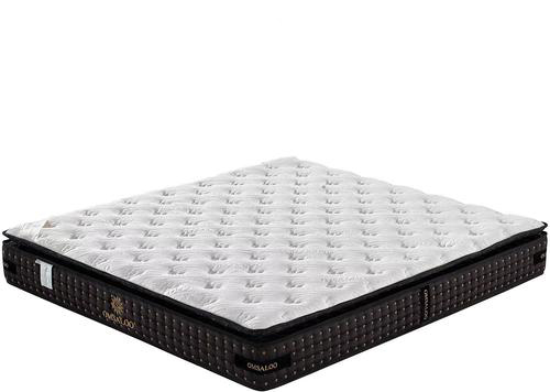 OMSALOO ���|���������m�������x