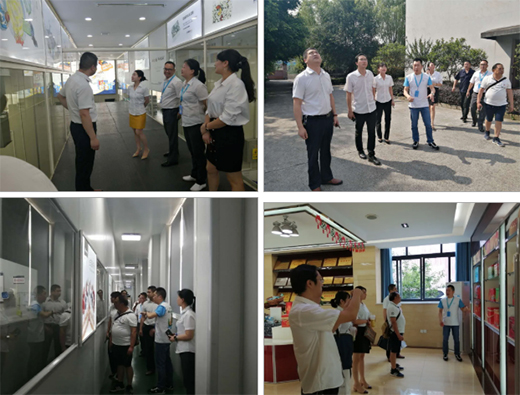 ���R��ȫ�X�Ҿӣ�Ʒ�Ƽ޽��ں������������A