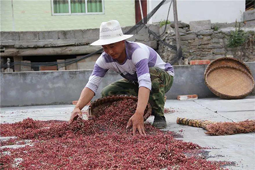 �W˼����û�����əC(j��)��ÿ��ɻ����H��0.5���