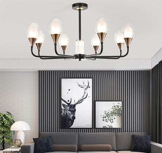 һ��(g��)ȫ�µ�����Ʒ�����������������ҵĸ۞�