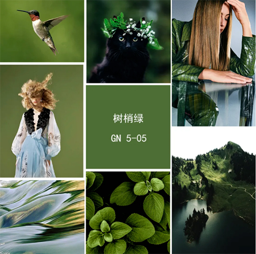 �W�_��ˇ�gͿ�ϣ����ҾG ���Դ�ص�Ԋ��