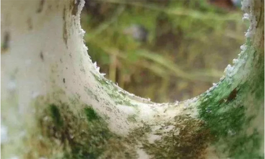 ��ܵ��ܘI(y��)���á��������ܣ��ȡ�������ˮ