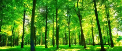 �l�c���h�鹝(ji��)�ܽ��ġ����o(h��)�h(hu��n)���l(f��)