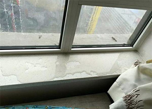 �̓r�X�Ͻ��T����Ŀ��ԡ�ƽ�桱���Ɔ�?