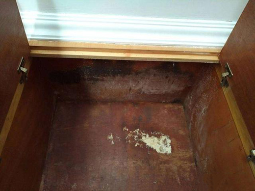 ��������÷�꼾�������ղ��P䓏N����ݑ�(y��ng)��