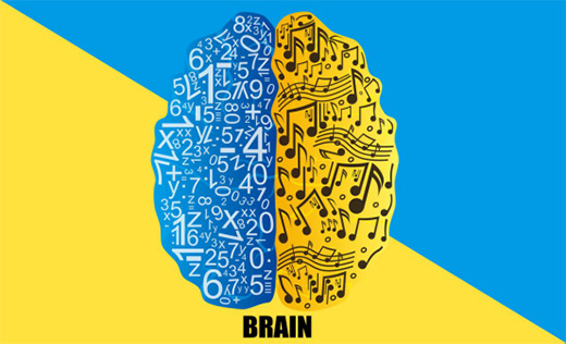 ���Y�Ó�����ÿ��(g��)�����������������Ó�����