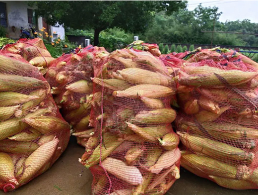 �K����벢�e��Ӳ������һ������