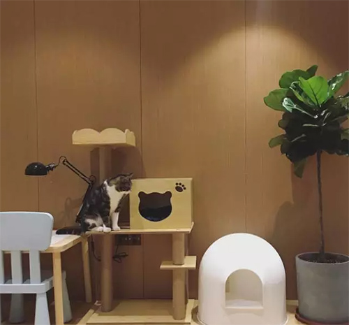 ���b�����׌����ֵ������!