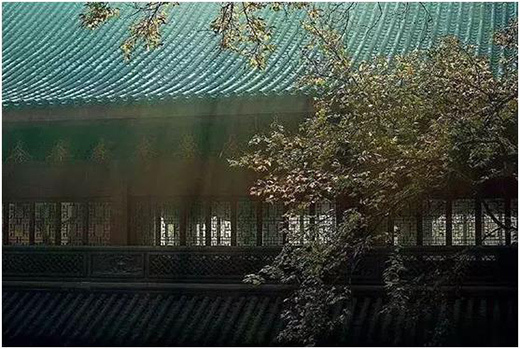 �����T���˴�(y��u)�����͞顰�Y������!