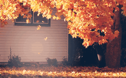 ⠺�������������һ�~֪��!