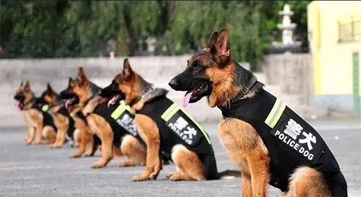 Ω����LED�w���������ٽ��م����c(di��n)�����ڹ����־�Ȯ����!