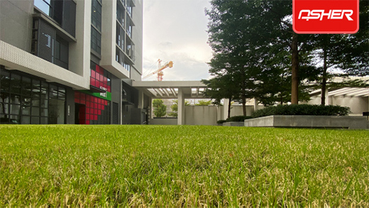 ���O�w���l(f��)��ENOCH���Z��ٻ쿗��ƺ���������ИI(y��)څ��