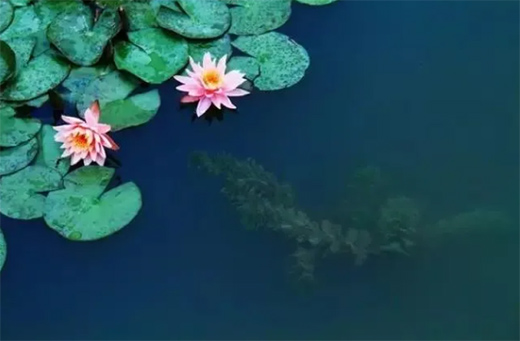 ��(qu��n)�_(d��)ˮ����� | ��ȥ�������Ҋ���������ʵ�����