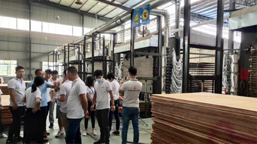 �����ٰl(f��)չ �����M���T��ǰ���V�����a(ch��n)���،W���{(di��o)��