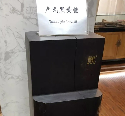 ���ϼtľ������t��֦����ľ�ĳ���tɫ����t��֦һ�㎧���ζ