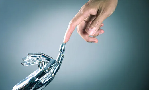 ������(BERNI)������ľ�����չ��δ��(l��i)