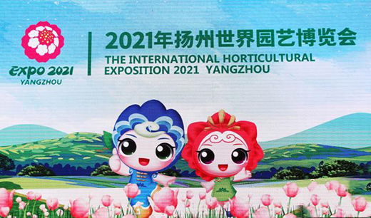 2021��P������@ˇ���[�����ա�������l(f��)��