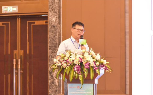 2020���34����ɽLED���������(q��)��(d��ng)���(hu��)�A�M���_