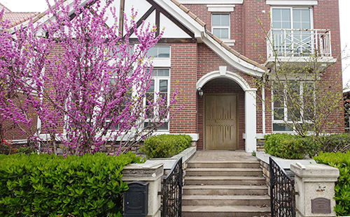 ���¡��ֵ�����|(zh��)���W�A��ۡ�T�X�T��ǡ�Ʉ�����