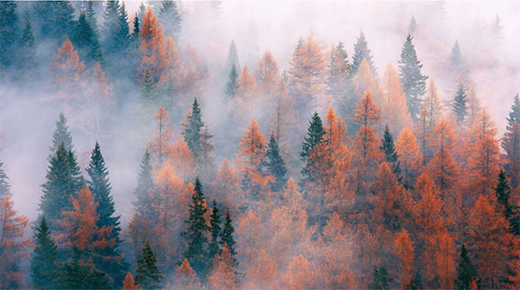 ���Zһ����Ʒ�|��ʮ����ֻ�íh(hu��n)��ˮ����!