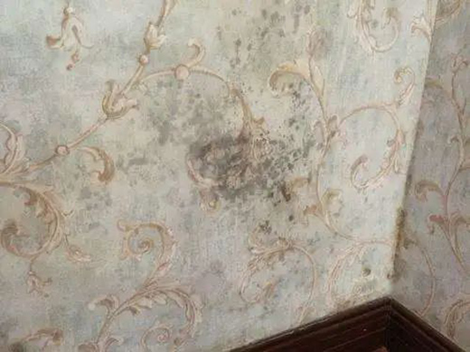 ���R���o���� �������30�����µļ�!