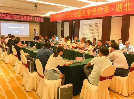 ��2020����Ʒ����Փ���ߴ󌚸ж�����ӈA�M�ɹ�