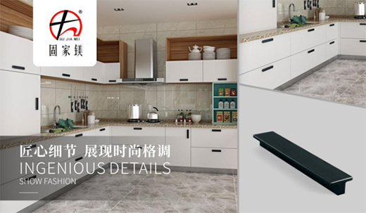 ����ÏN��������󷽡����f�ľ��ǹ̼��V����