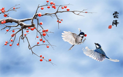 �����᣺˪����(l��i)�u���e���˽o���ķ��ӱ���!