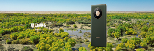 �A��Mate40ϵ����Ʒ�l(f��)��ʢ�������@Щ���c(di��n)��ע�⵽�ˆ�?