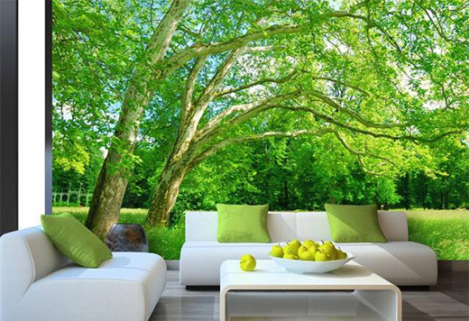 �����B(t��i)�Ҿӡ��r�����������B(t��i)��(sh��)ľ�T���I(l��ng)δ������