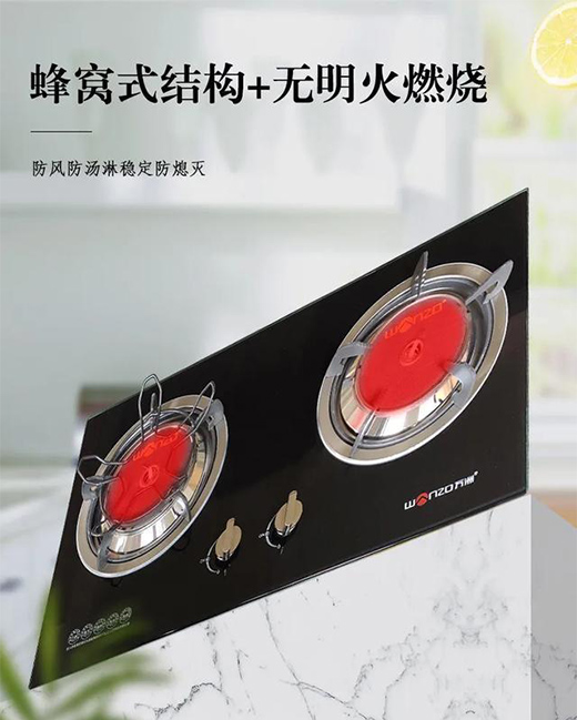 �f��810D1ȼ����r�����ܼҵ�ζ��