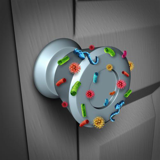 ��ǰ�A(y��)���pʮһ����?TCL��(li��n)�W(w��ng)�����iK6P�����