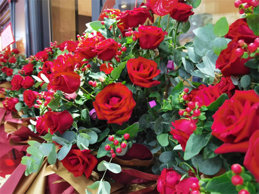 ϲӍ��ˇ�͸߶��T(m��n)�����������u��¡���_(k��i)�I(y��)!