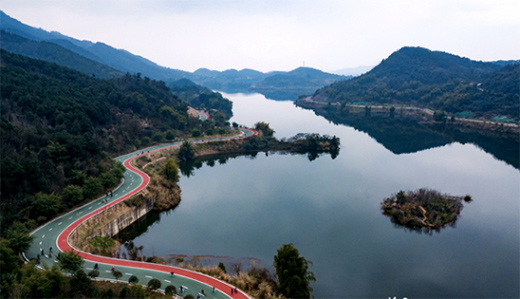 �h(yu��n)���w���������R����ِ�����������˭h(hu��n)�����z�ܵ�