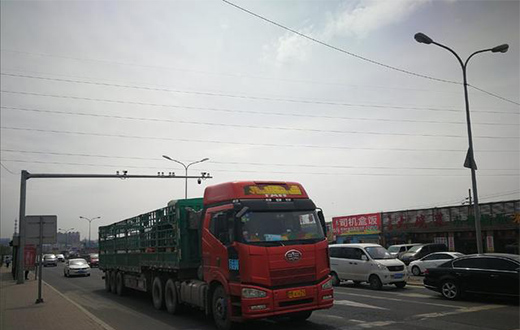 ��������������·������ǰ���ĵ�·