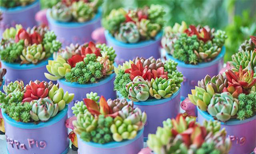 �������Ђ�ꖹⷿ��һ����һ�K��һ��ꖹ���͵�ø��������e