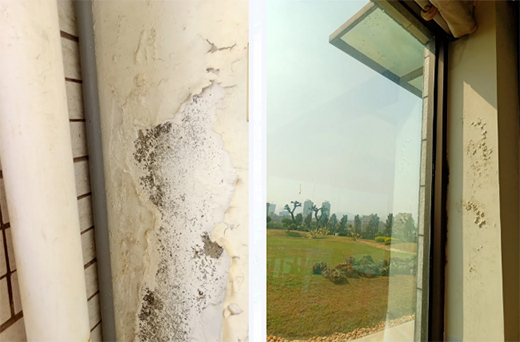 ���쉦�������������Ї�(gu��)ʮ��Ϳ��Ʒ�ơ����Ƴ��(y��ng)�_(t��i)�N�l(w��i)������